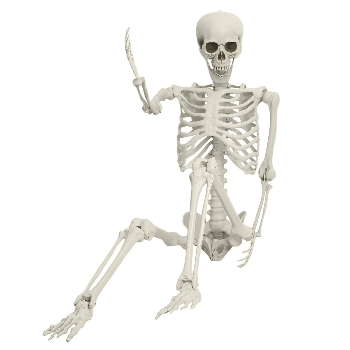 5.4ft White Posable Skeleton I229206