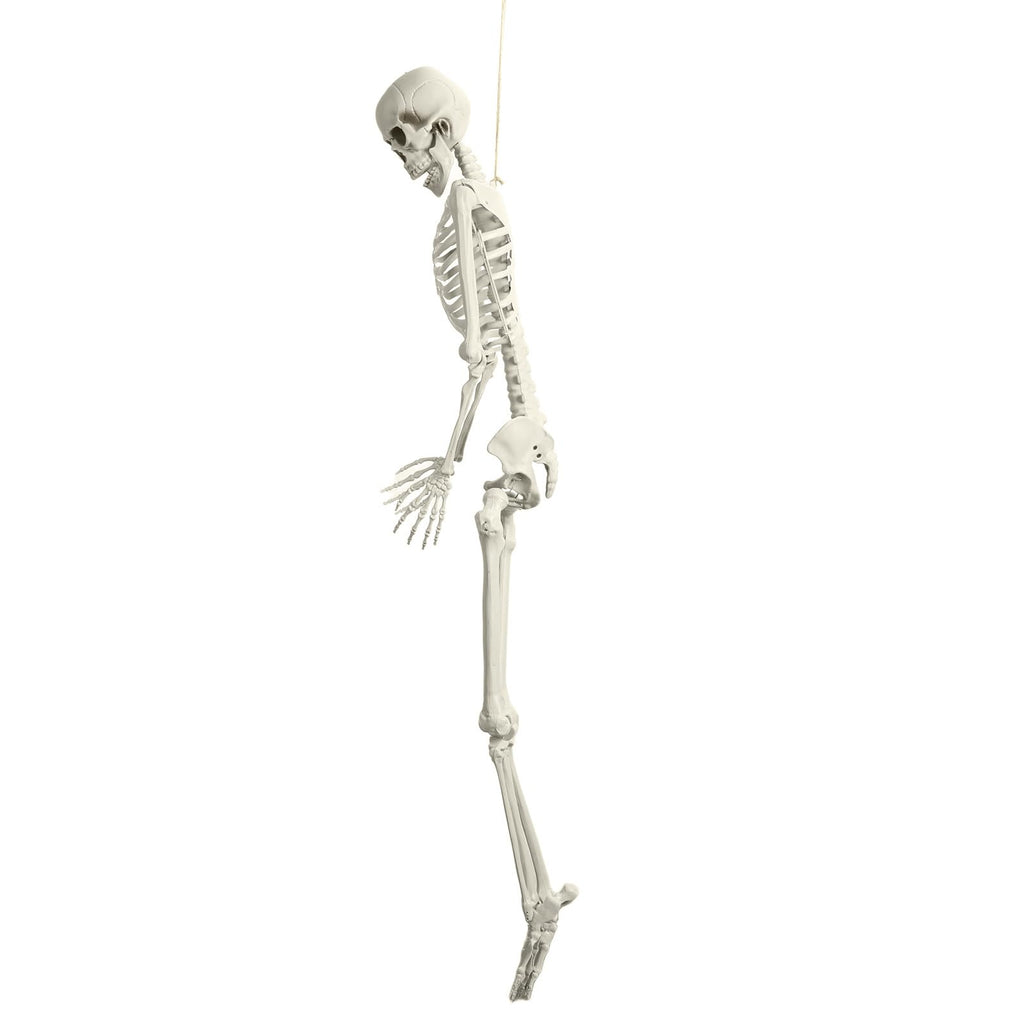 5.4ft White Posable Skeleton I229206