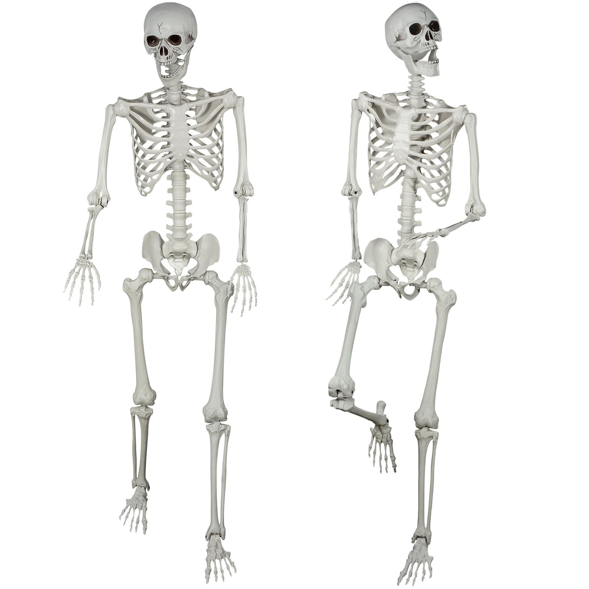 5.4ft Posable Life Size Skeleton Bones with Movable Joints M869700
