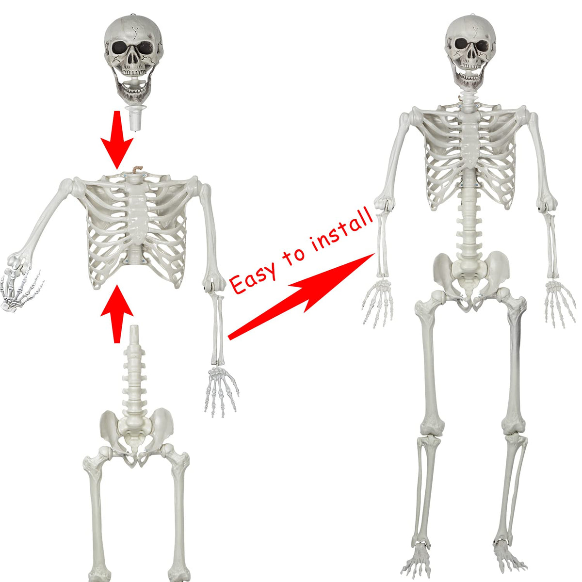 5.4ft Posable Life Size Skeleton Bones with Movable Joints M869700