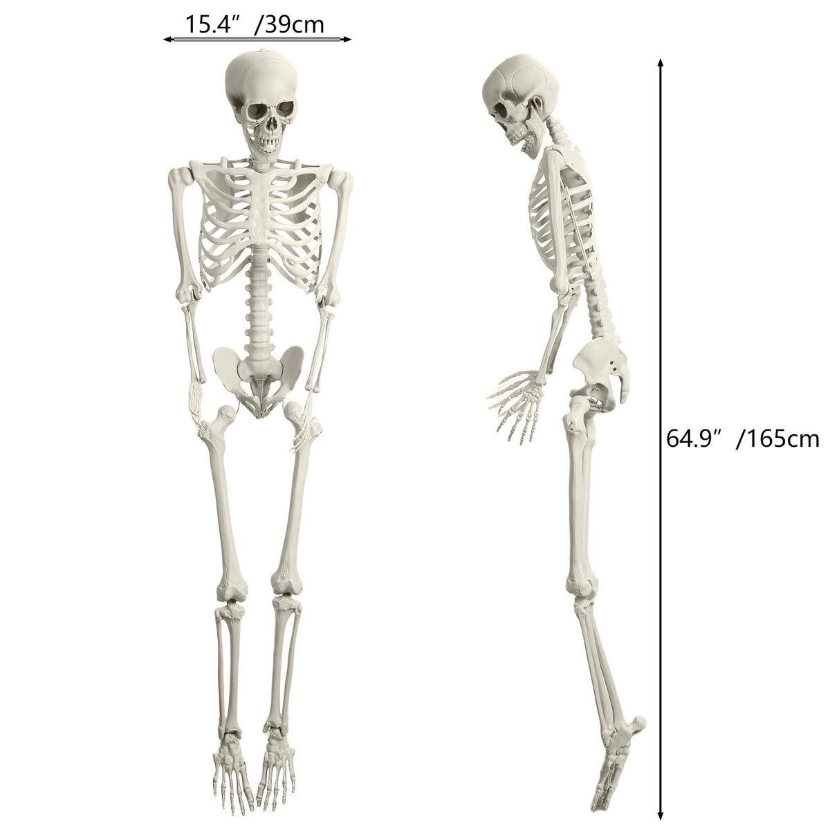 Halloween Skeleton Poseable Prop X81859
