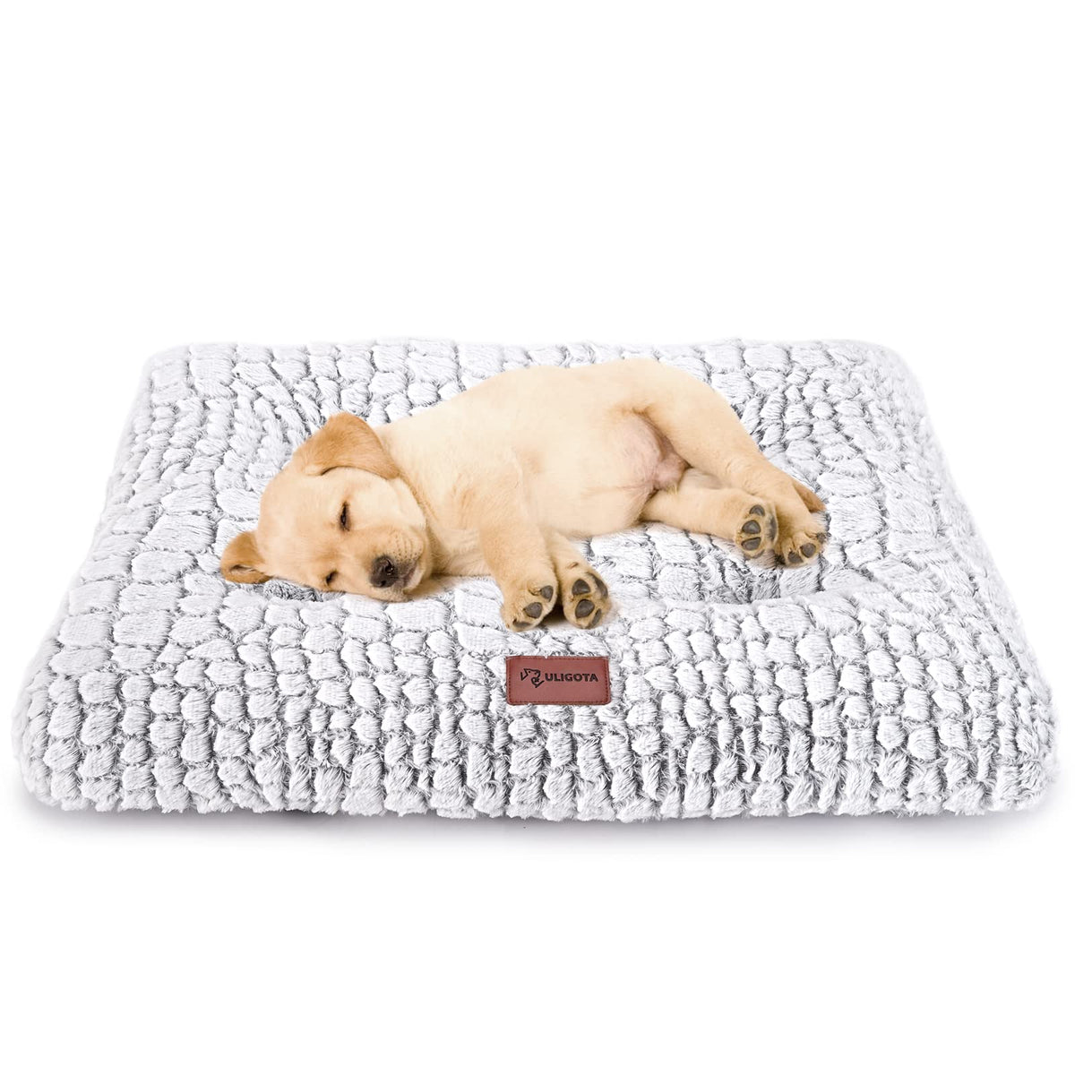 White Dog Crate Pad 24"x18" J699