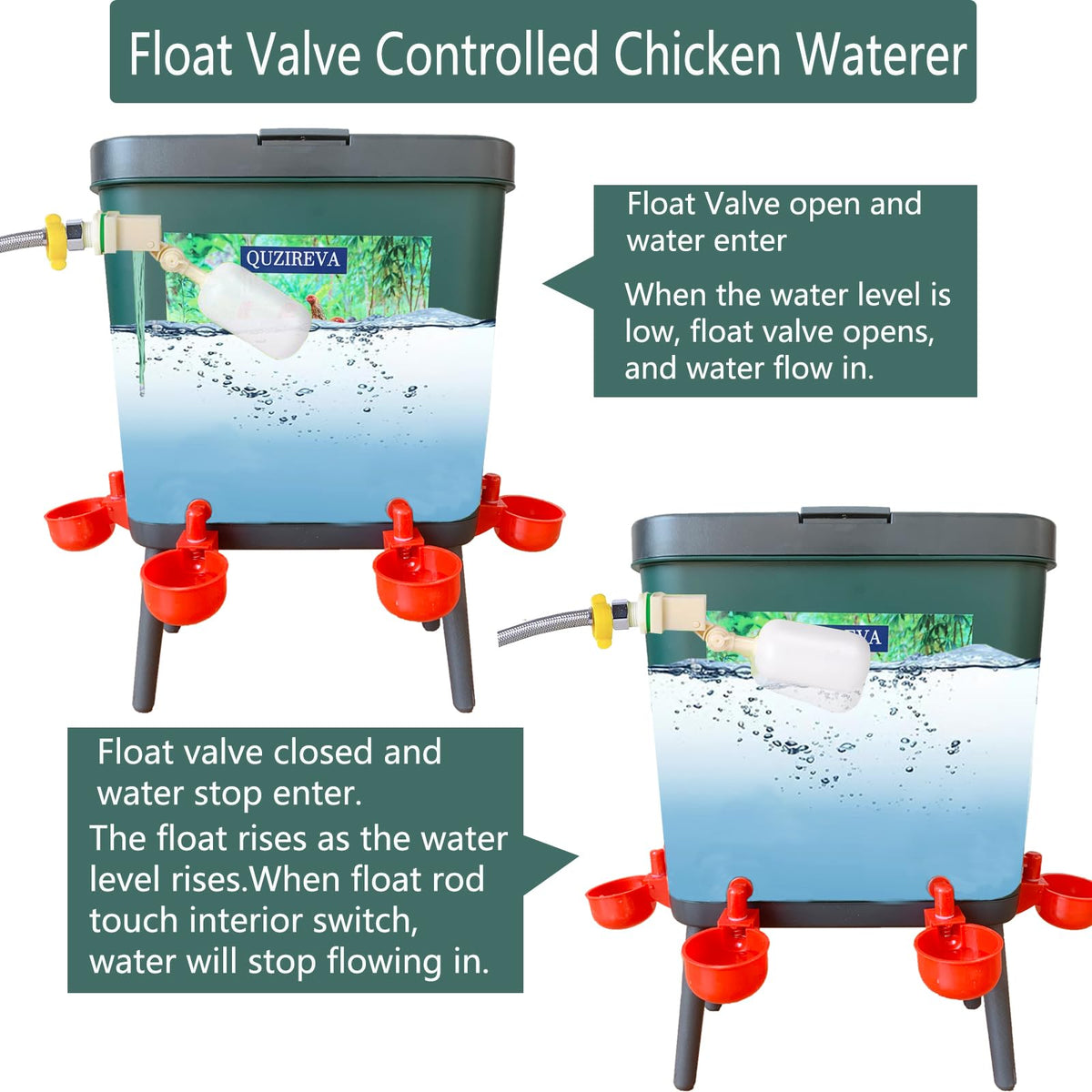 4 Gallon Automatic Float Controlled Poultry Waterer with Hose and Cups L6087
