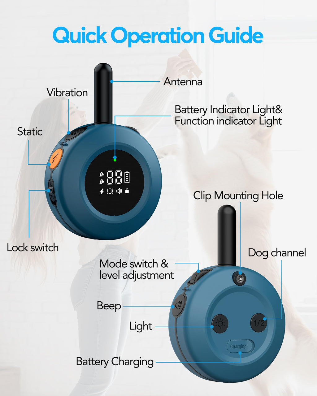 Dog Training Collar with Remote O25860
