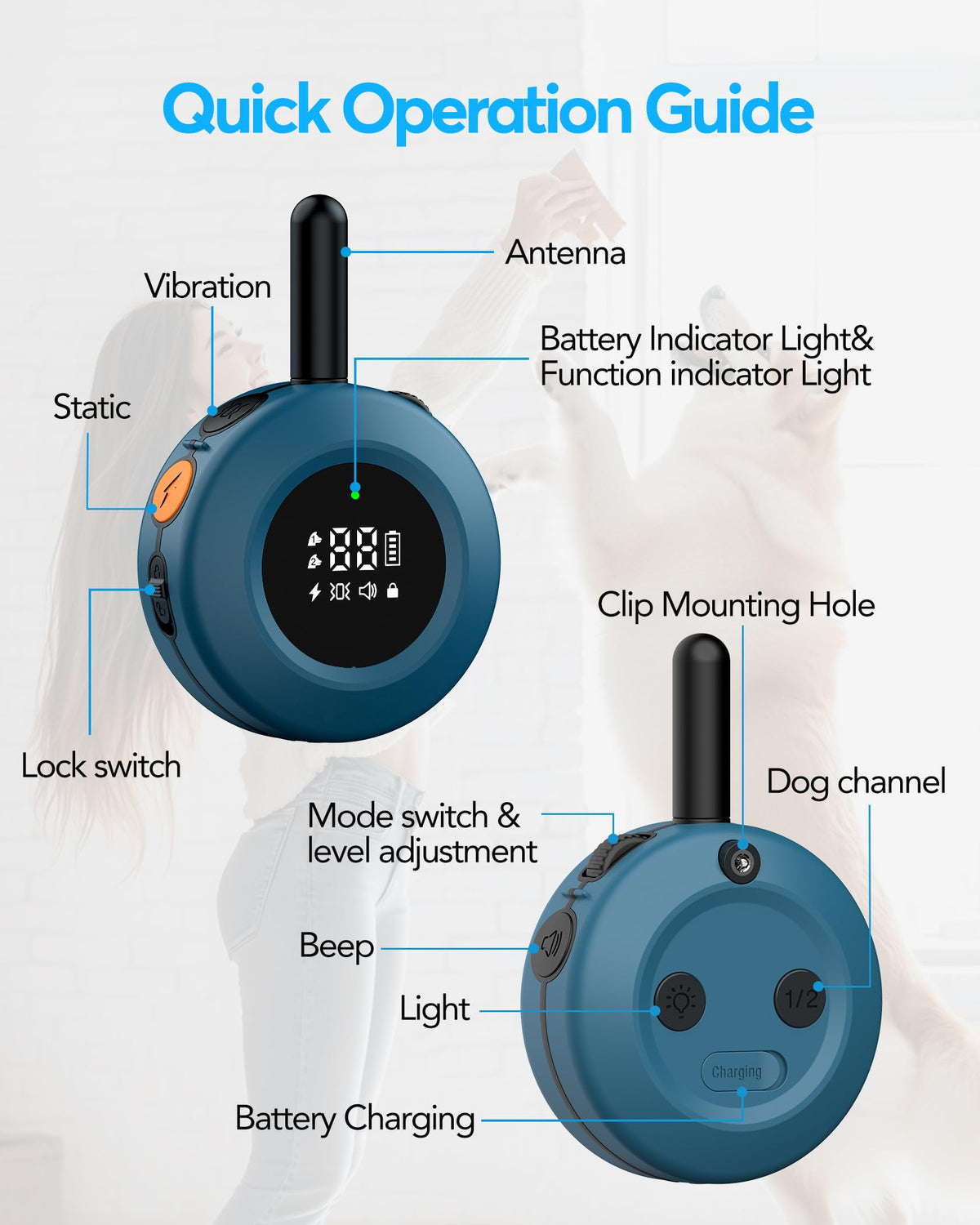 Dog Training Collar with Remote O25860