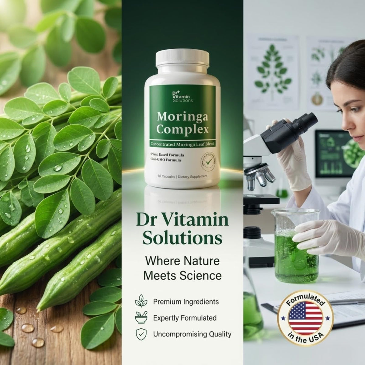 Moringa Oleifera Capsules with 20:1 Leaf Extract E259