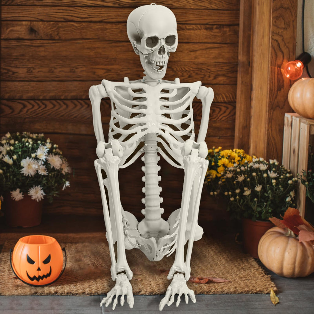 5.4ft White Posable Skeleton I229206