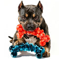 Dog Chew Toy R1358