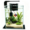 2 Gallon Betta Fish Tank with Filter and Light G25028