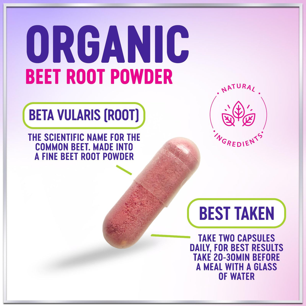Organic Beet Root Capsules 1300mg 60 Capsules I560