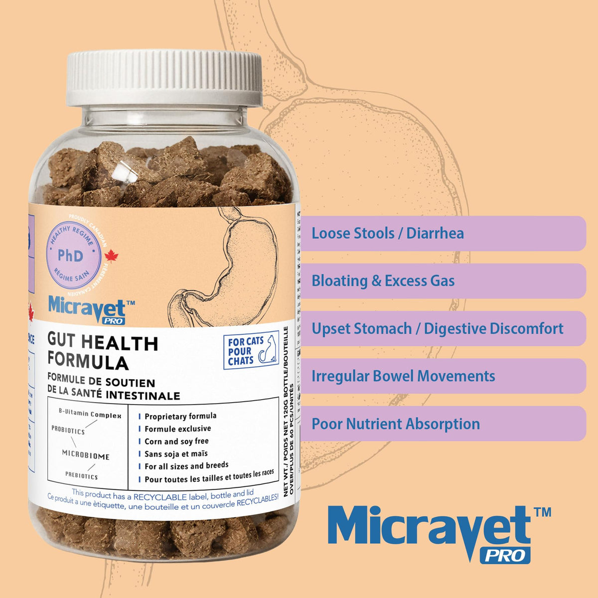 Probiotic Soft Chews for Cats T909