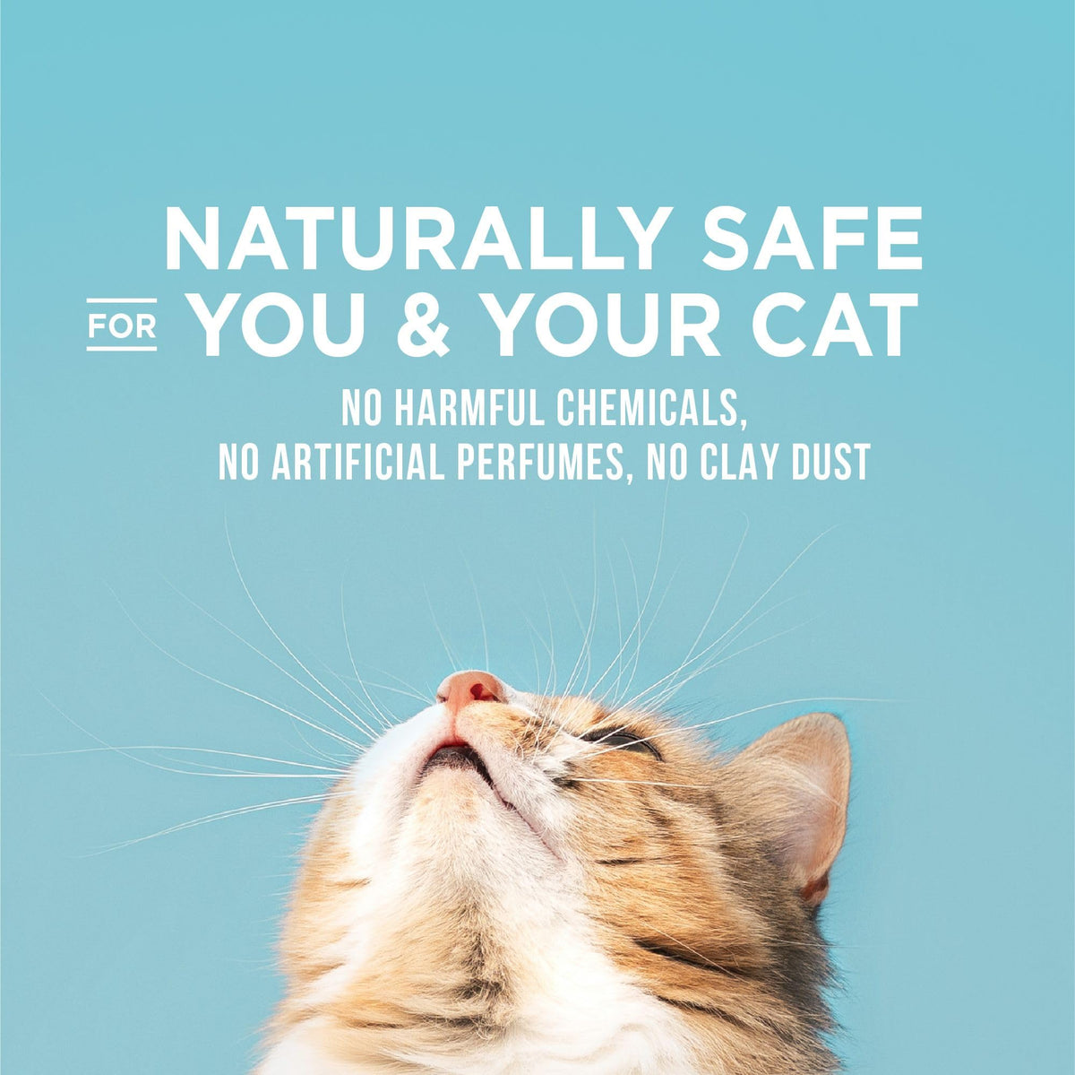 Cat Litter 15 lb Bag P676