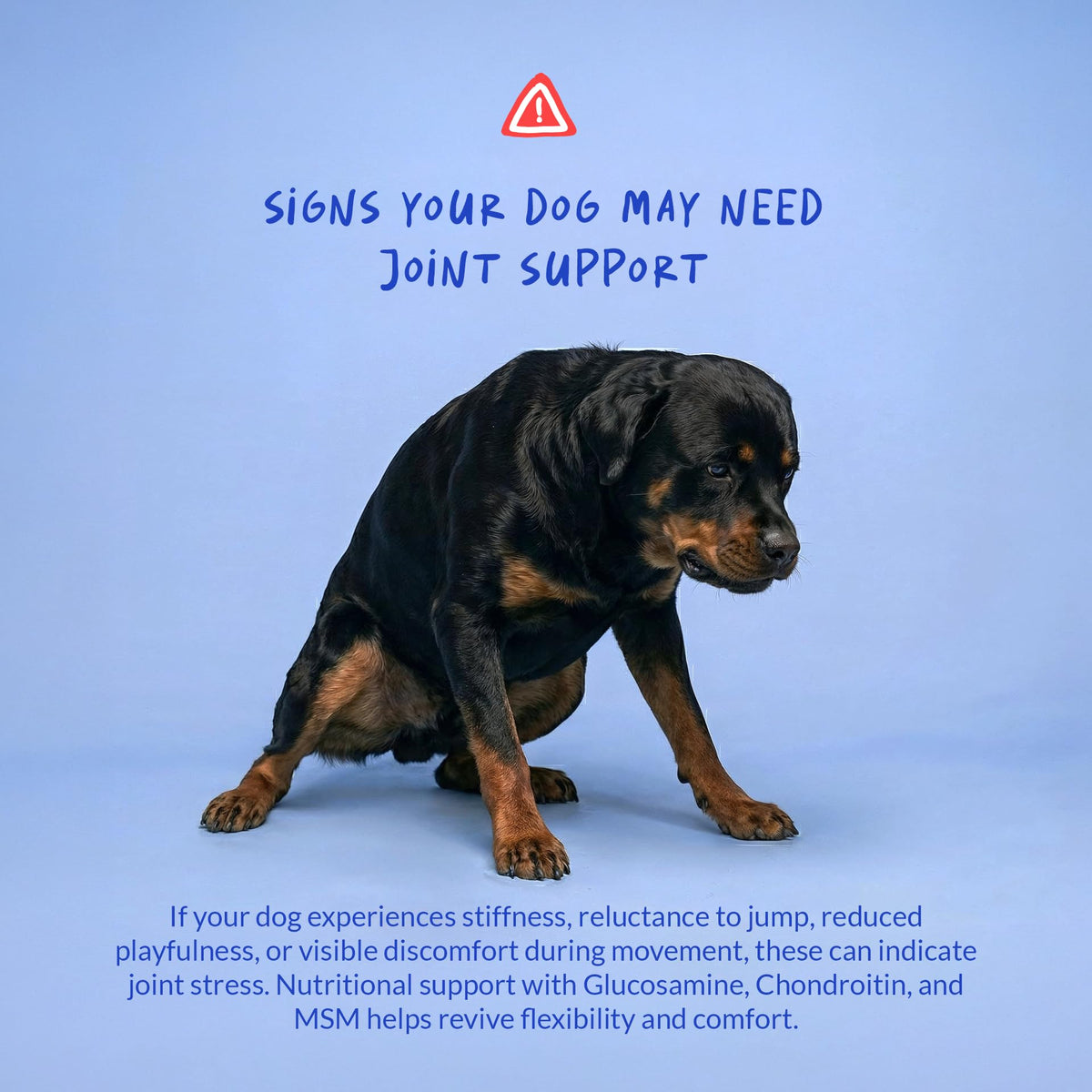 Glucosamine MSM & Chondroitin Dog Supplement 120 ct D197623