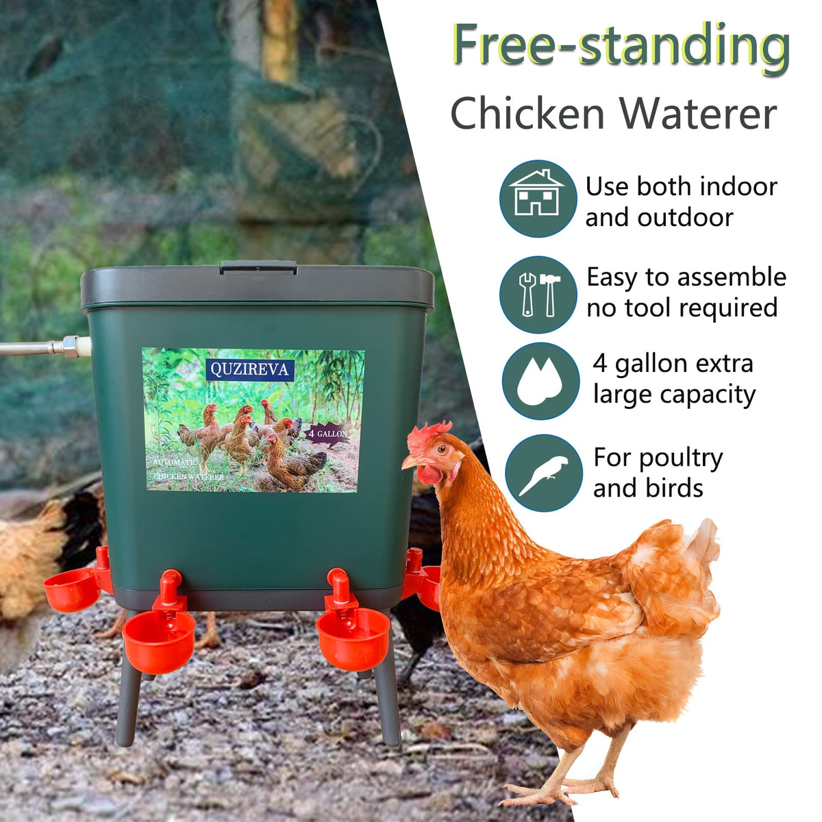4 Gallon Automatic Float Controlled Poultry Waterer with Hose and Cups L6087