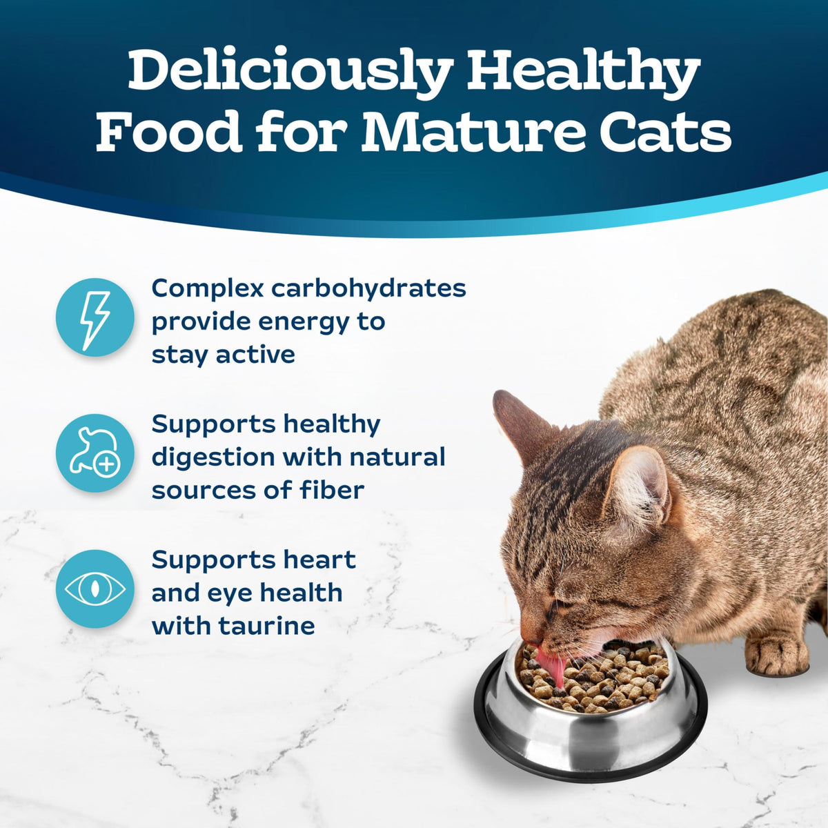 Chicken & Brown Rice Senior Dry Cat Food, 3 lb G9507