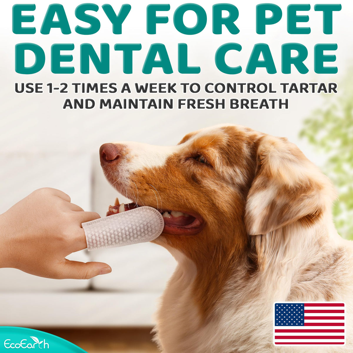 Teeth Cleaning Wipes for Dogs and Cats, 50 pc S4895