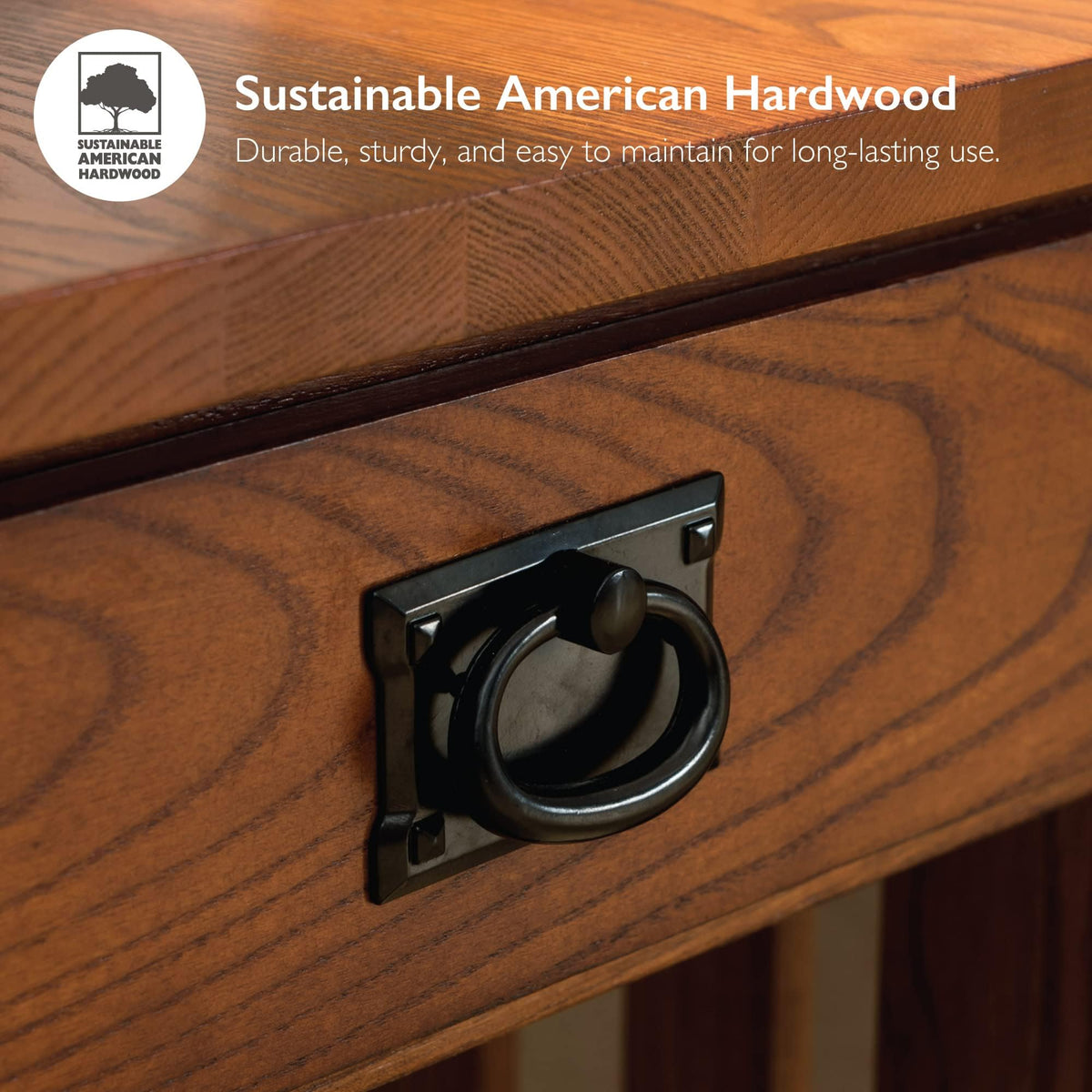 Transitional Solid Ash Console Table with 2 Drawers N104