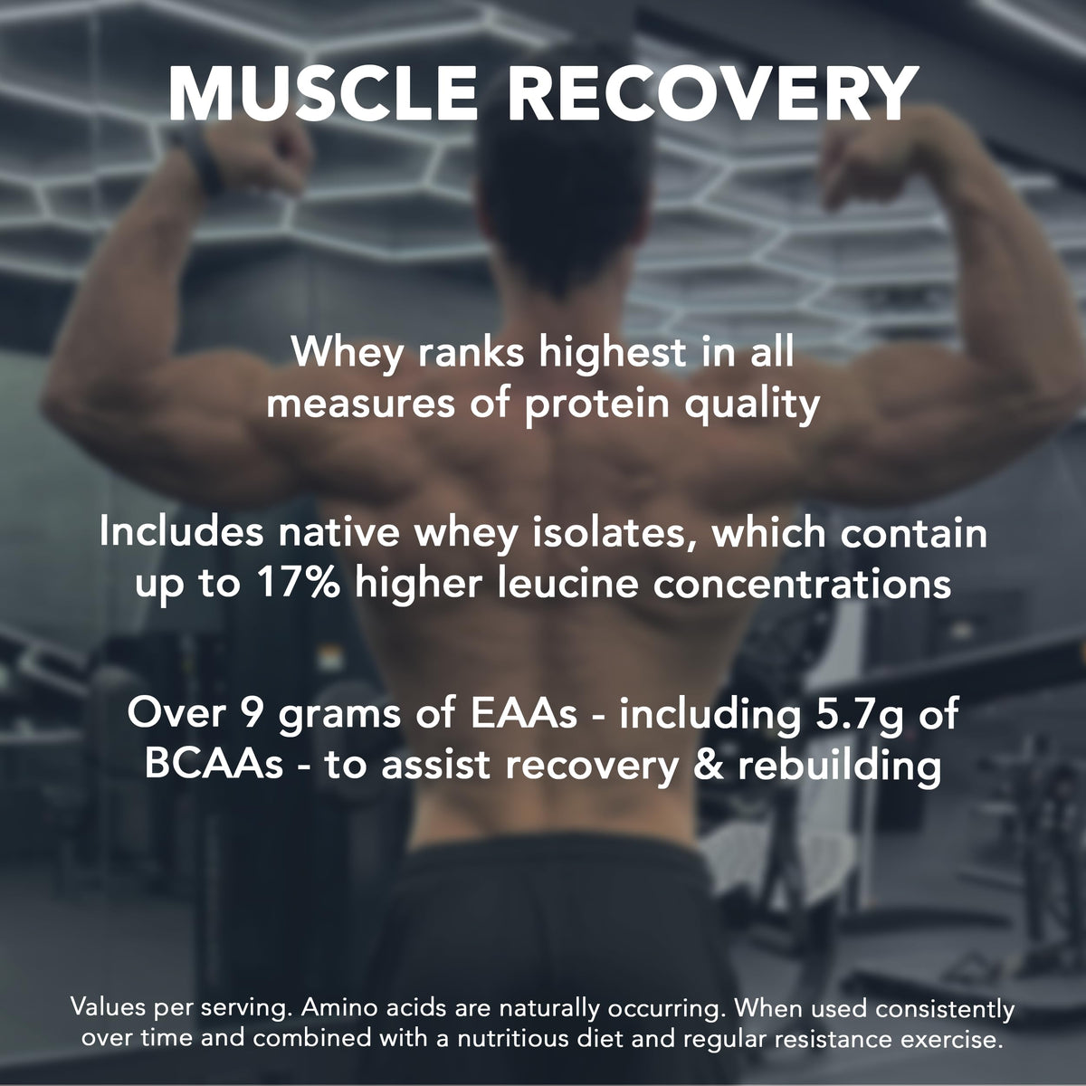 Whey Protein Powder Pure Chocolate 5 lb J7891