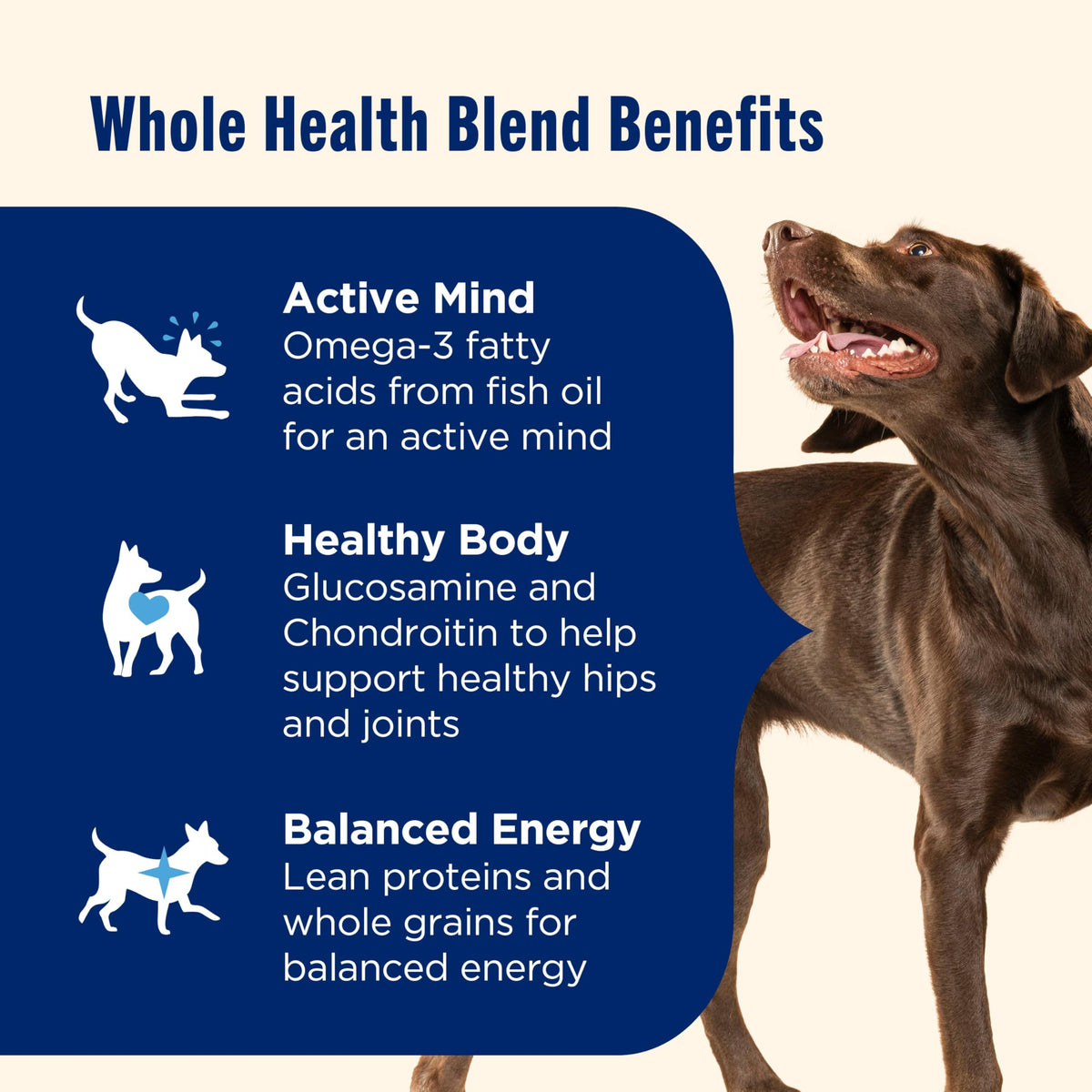 Large Breed Dry Dog Food with Beef 40 lb Bag S56929