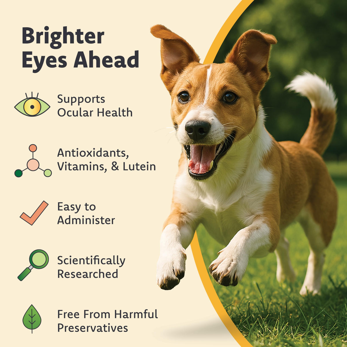 Lutein Omega-3 Liquid Gelcaps Vision Supplement for Small Dogs M469