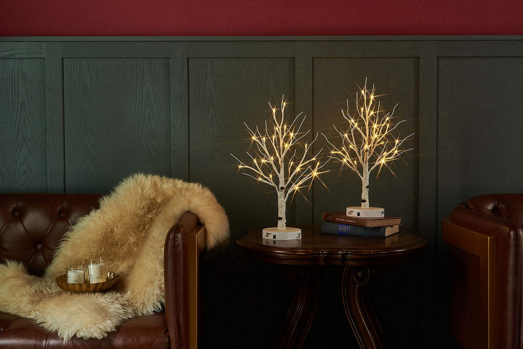 Lighted Birch Tree with Timer 18IN 24 LED B575