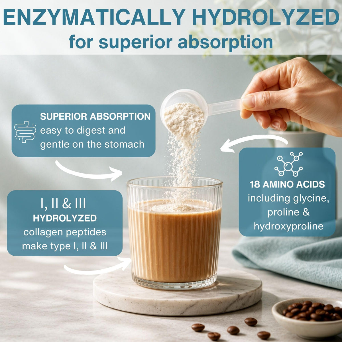 Hydrolyzed Bovine Collagen Peptides H423133
