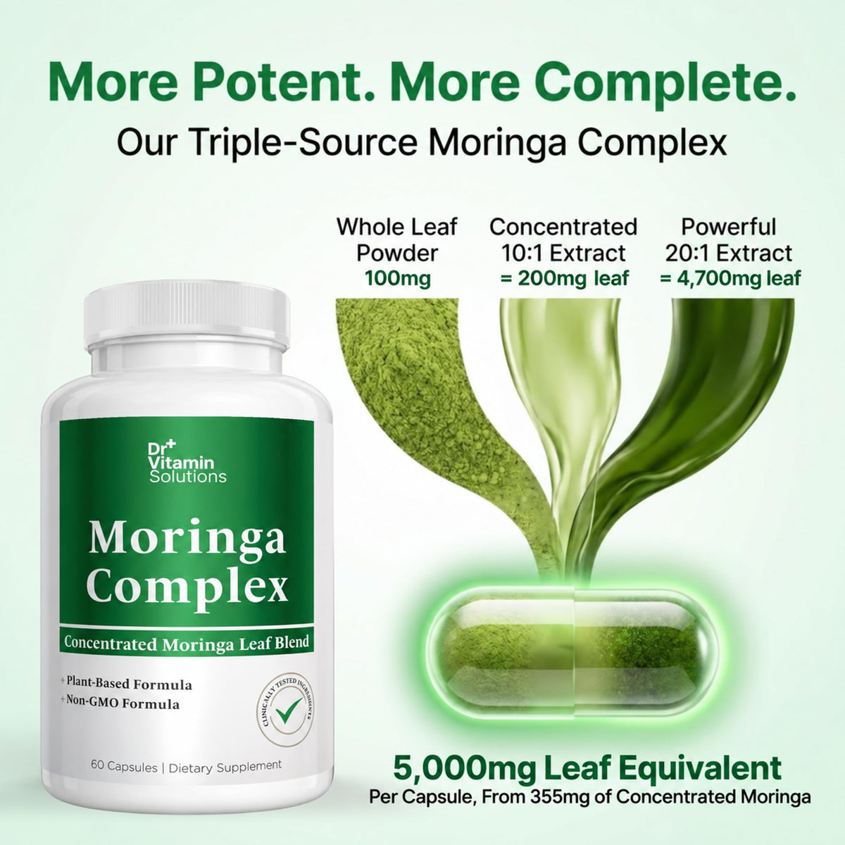 Moringa Oleifera Capsules with 20:1 Leaf Extract E259