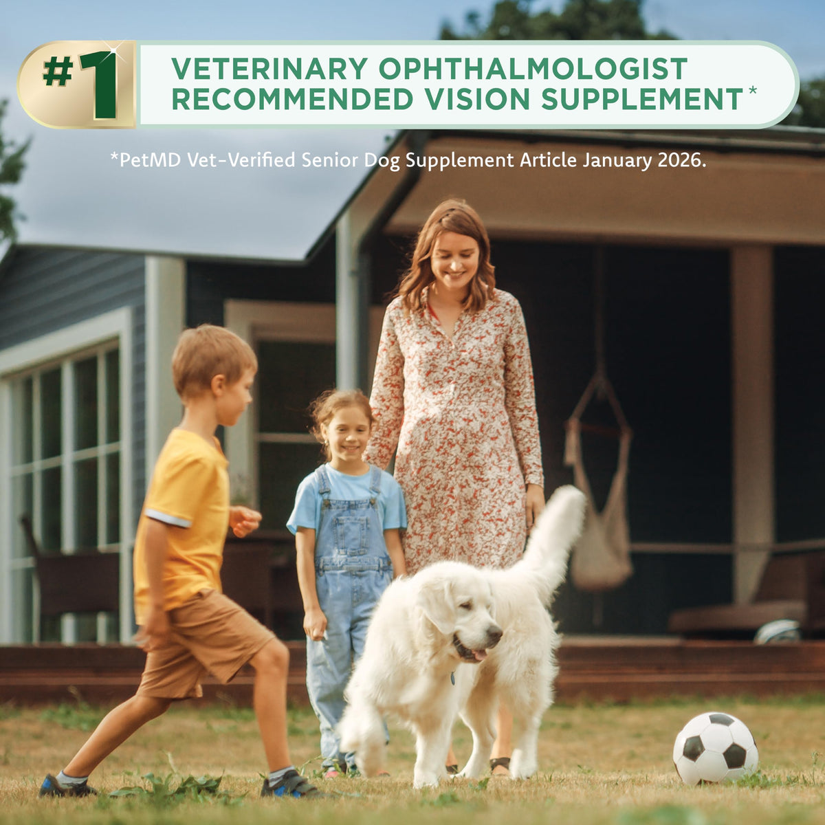 Lutein Omega-3 Liquid Gelcaps Vision Supplement for Small Dogs M469