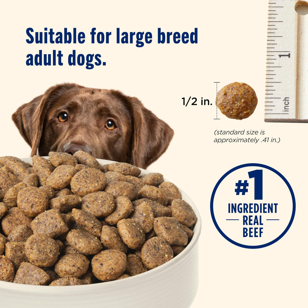 Large Breed Dry Dog Food with Beef 40 lb Bag S56929