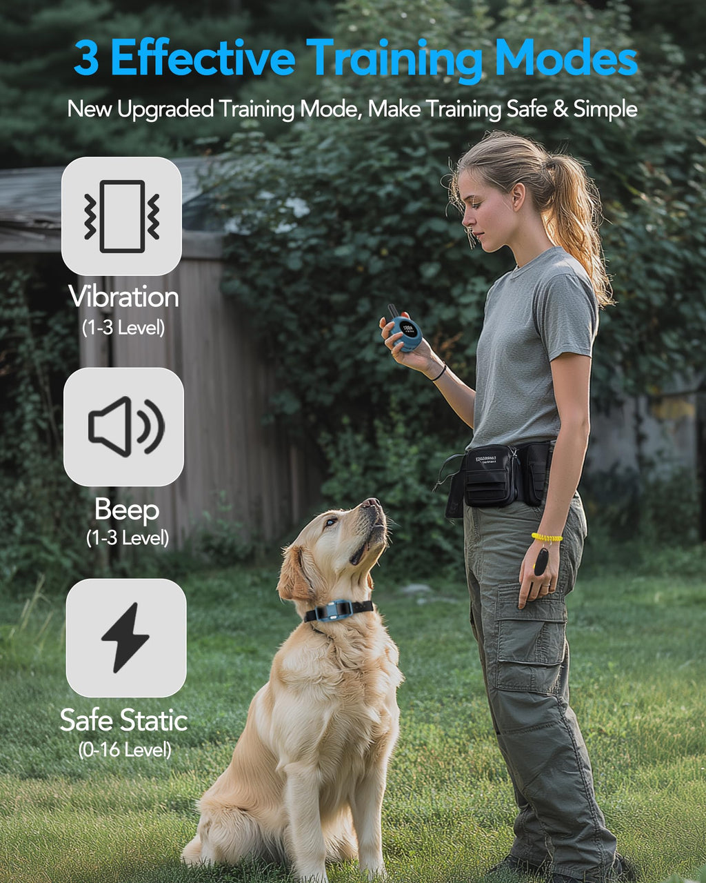 Dog Training Collar with Remote O25860