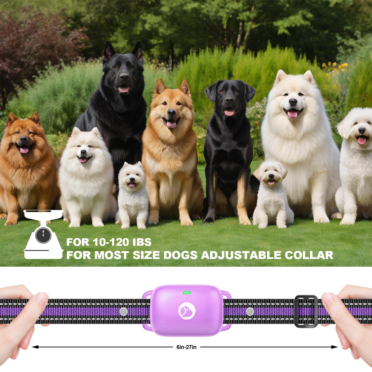Dog Training Collar with Remote Purple N86711