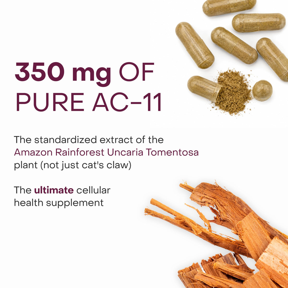 Telomere Length Supplement H351