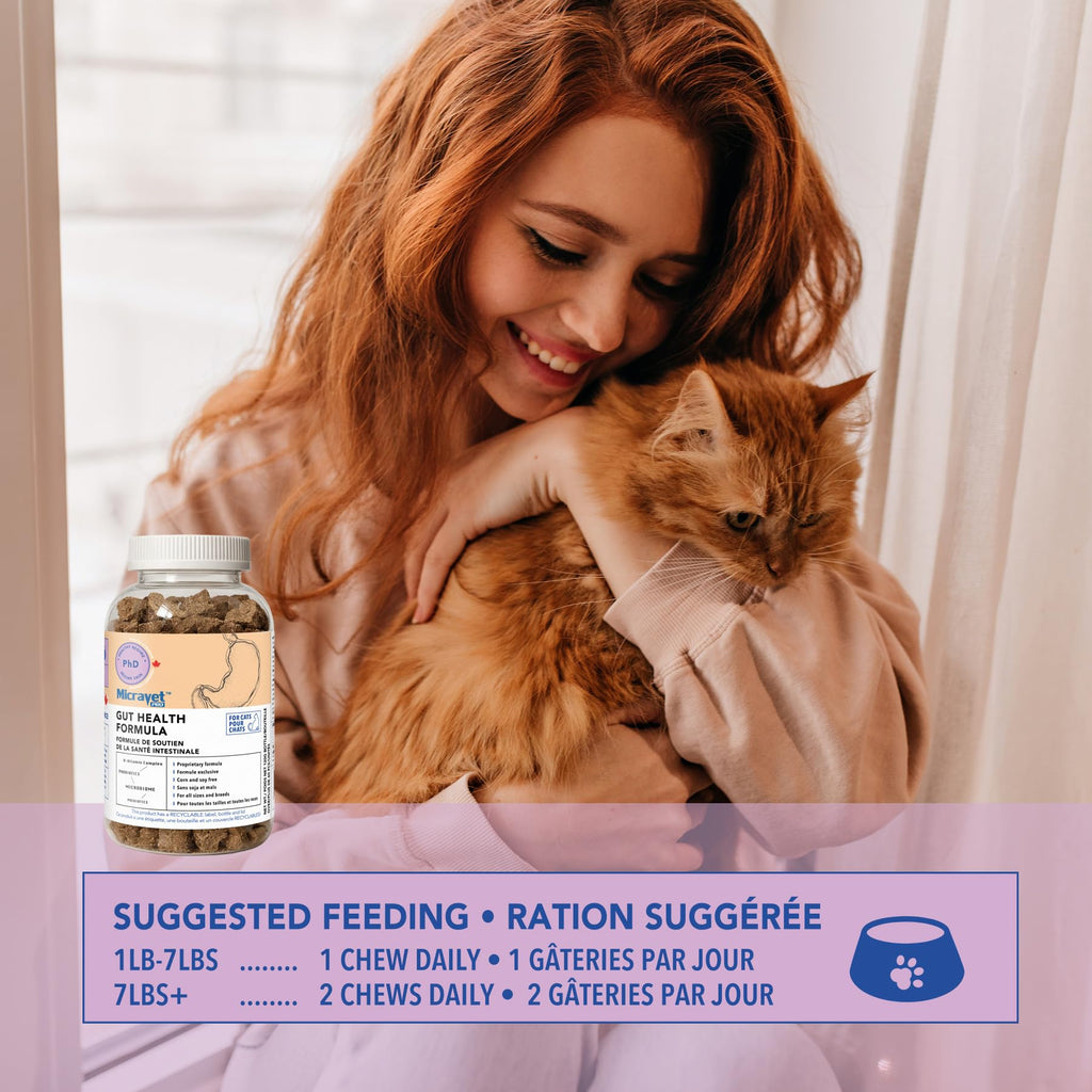 Probiotic Soft Chews for Cats T909
