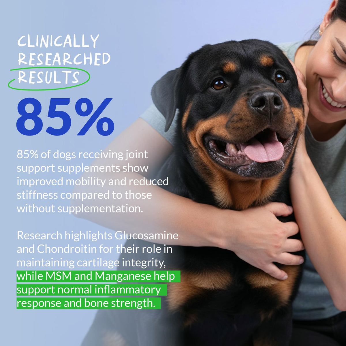 Glucosamine MSM & Chondroitin Dog Supplement 120 ct D197623