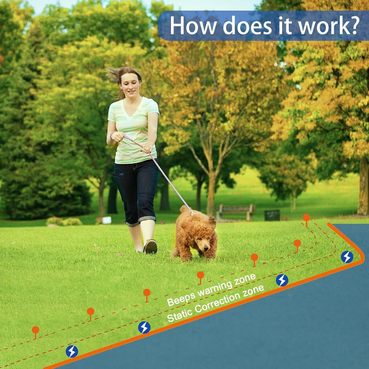 In-Ground Electric Dog Fence System with Waterproof Training Collar L615445