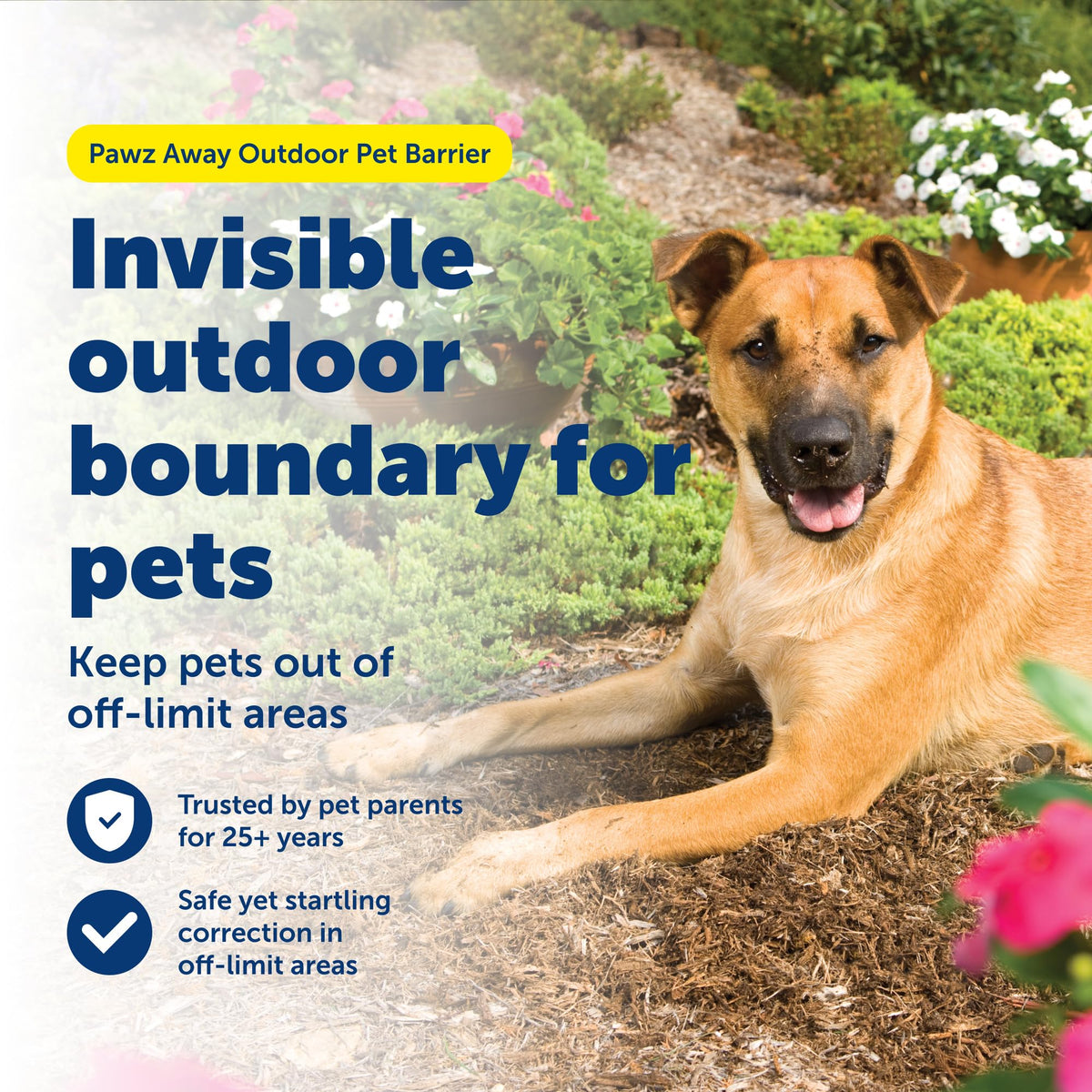 Wireless Outdoor Pet Barrier with Receiver Collar Q618319